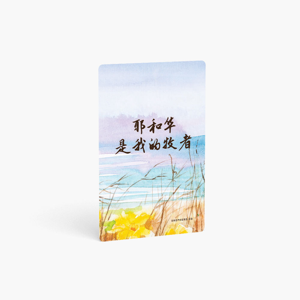 Stickers (Wallet Card Cover)